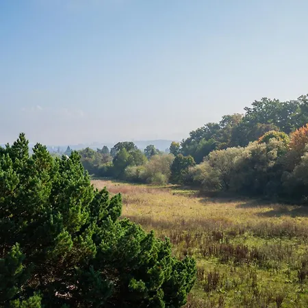 Apartment Gaestehaus Elena *