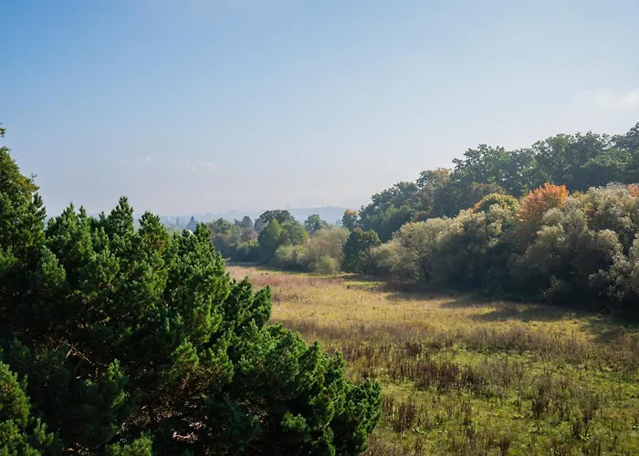 Apartment Gaestehaus Elena *